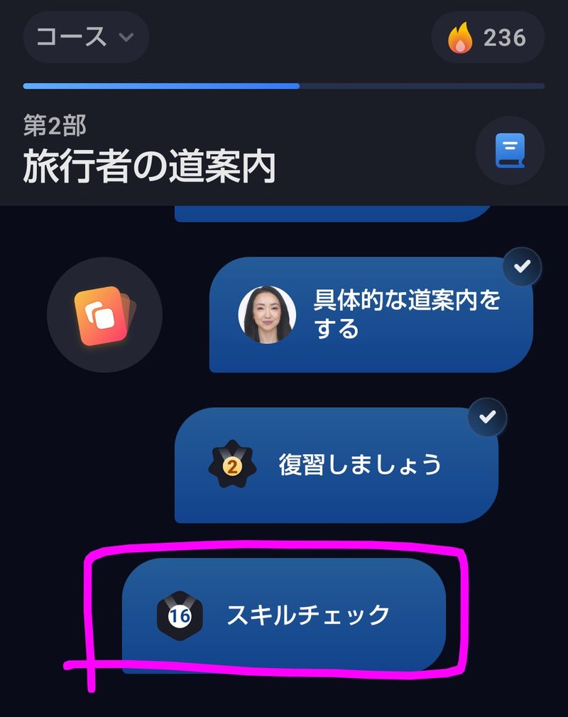 第2部「旅行者の道案内」の最後に、ピンクの枠で囲まれたスキルチェックが並んでいるところ